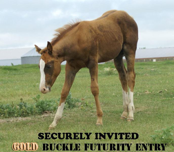 SECURELY INVITED